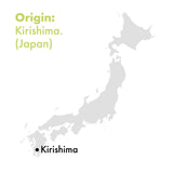 Japan Matcha ONE 30 g Dose